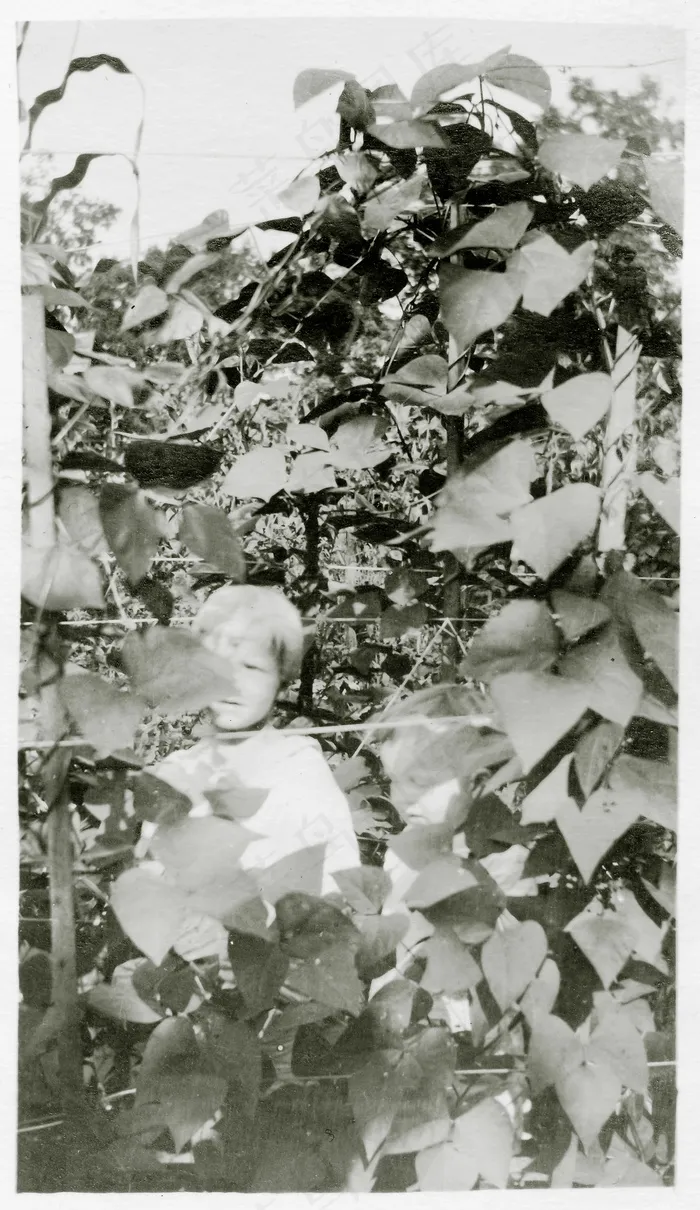 孩子们躲在高大的植物