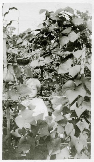 孩子们躲在高大的植物