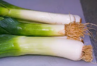 韭葱,青葱,葱,茭白,茴香,韭菜茎