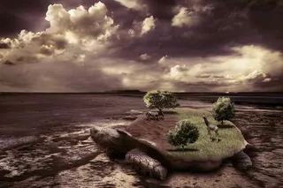 这是一个小世界