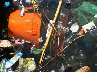 水池里面很多的垃圾