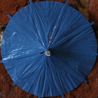 雨伞,遮阳伞/雨伞,摄影反光伞,工艺伞,短裤,鸡尾酒伞