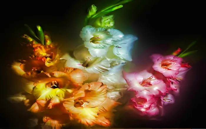 彩灯装饰,发光棒,六出花,油画,丝绢花,魔术幻想