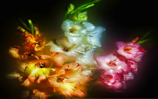彩灯装饰,发光棒,六出花,油画,丝绢花,魔术幻想 彩灯装饰,发光棒,六出花,油画,丝绢花,魔术幻想
