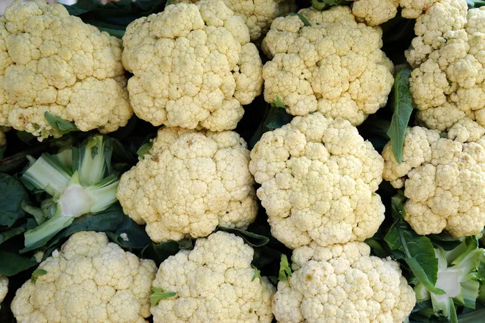 花椰菜/ Couve-Flor