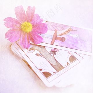 花卉,手机后盖,吸油纸,贺卡,图画,塔罗牌和花