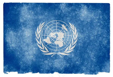 联合国垃圾旗 联合国垃圾旗