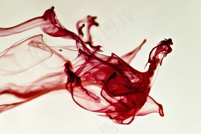 玫瑰花,花卉,工笔画,舞者,舞蹈作品欣赏,残酷夫人