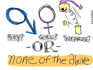 男孩，女孩，惊喜或以上都不是