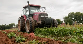 拖拉机,收割机,玉米黄浆饲料,树,工艺品,20130920-OC-LSC-0892