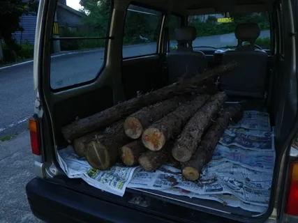 保全林の间伐材