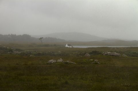 孤独四世（Éire的印象）