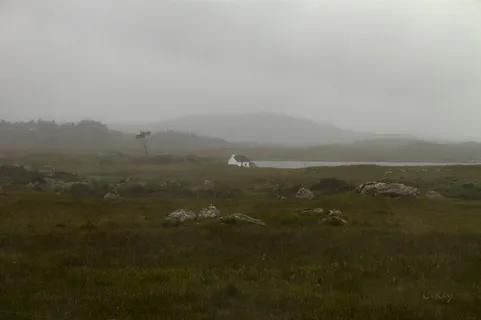 孤独四世（Éire的印象）