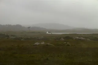 孤独四世（Éire的印象）