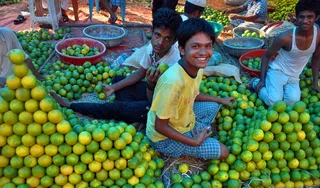 柠檬甜蜜的微笑！