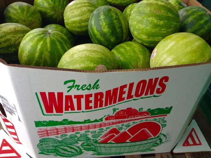 西瓜，6/2015，由TheToyChannel的Mike Mozart和JeepersMedia在YouTube上＃西瓜