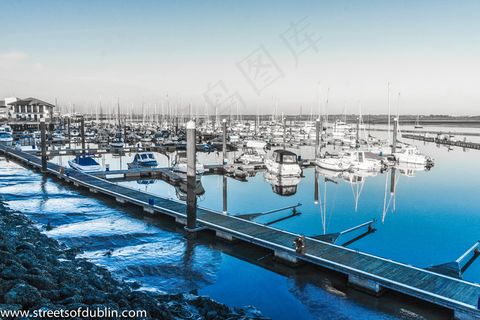 港口码头,海洋,帆船,江河,游艇,马拉海德码头及周边地区-2013年1月