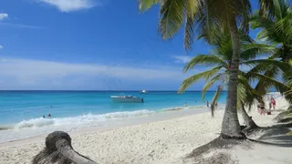 多米尼加*-索纳岛-以其海滩的自然美景而闻名