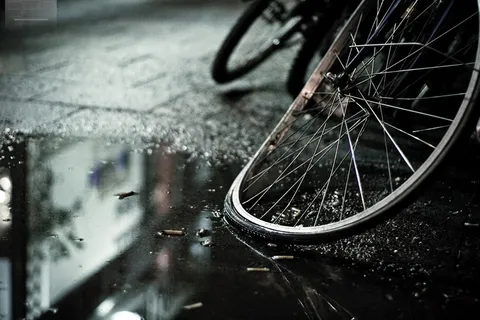 50/365：轮毂和辐条[EXPLORED]