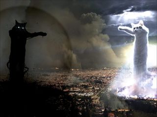 天花板猫vs.地下室猫