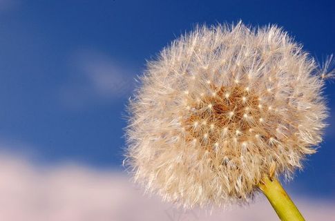 祝愿每个人万事如意！