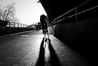 现代建筑,树,盆栽植物,城市街道,桥梁,循环