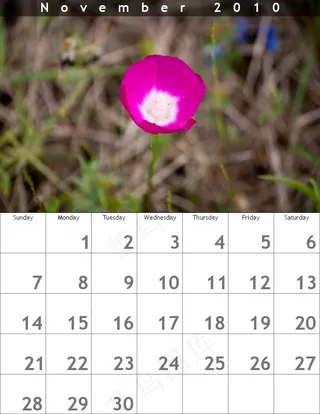 2010年11月日历