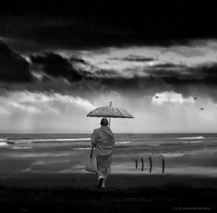 和尚在雨中 和尚在雨中