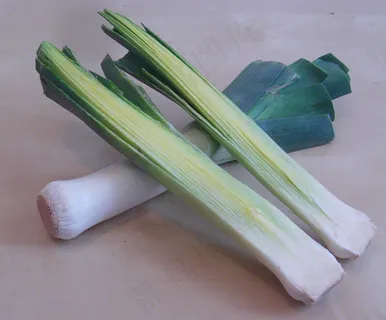 韭葱,葱,茭白,秋葵,芹菜,韭菜展示