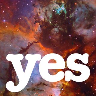 女士们先生们，我们生活在一个“是”的宇宙中