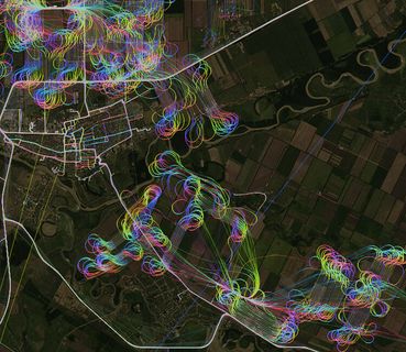 屏幕截图,盆栽植物,地图,花卉,地块分布图,作物除尘