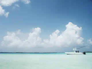 天空,海洋,飞机,风景,树,加勒比海