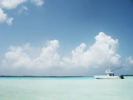 天空,海洋,飞机,风景,树,加勒比海 天空,海洋,飞机,风景,树,加勒比海