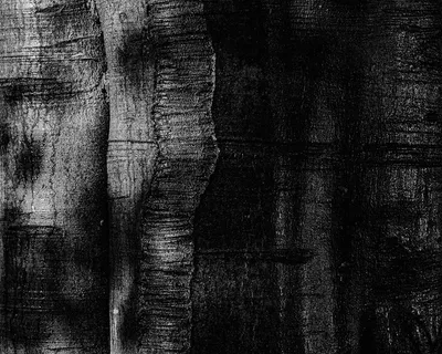 山峦,包,羽绒服,手提包,油画,黑山毛榉