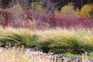 贝克县旅游– basecampbaker.com 15914