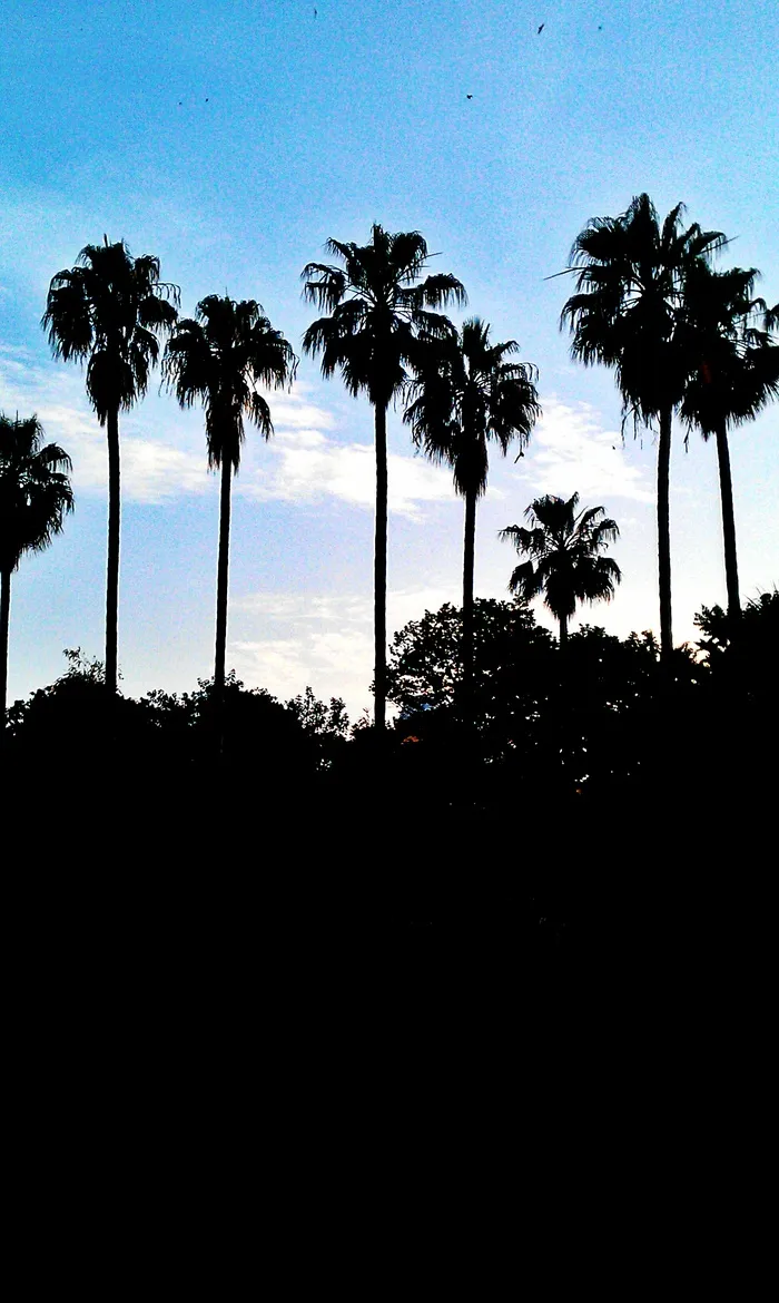 palme_20140929151443460