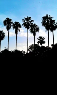 palme_20140929151443460