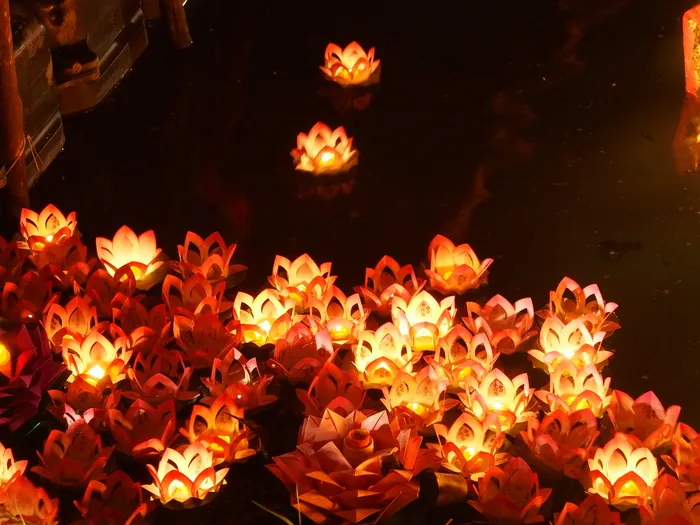 花卉,元宵灯会,闹花灯,生日蜡烛,荷花灯,N8160531.JPG