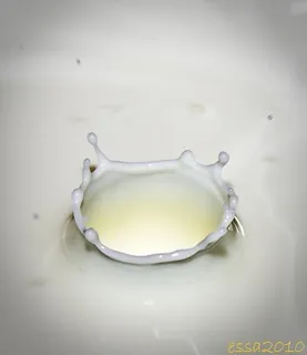 牛奶滴 牛奶滴