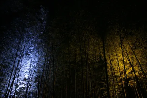 IMG_7105 IMG_7105