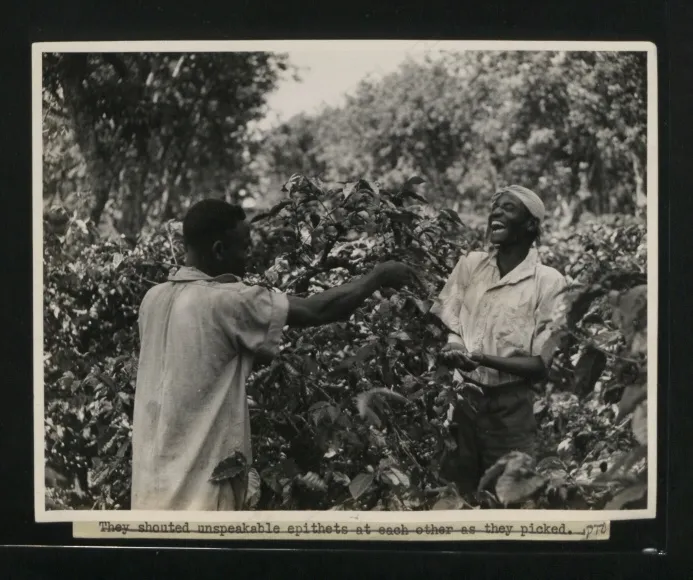 影雕,版画,小窝,黑白照片,钢笔画,CO 1069-142-24