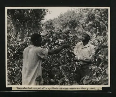 影雕,版画,小窝,黑白照片,钢笔画,CO 1069-142-24