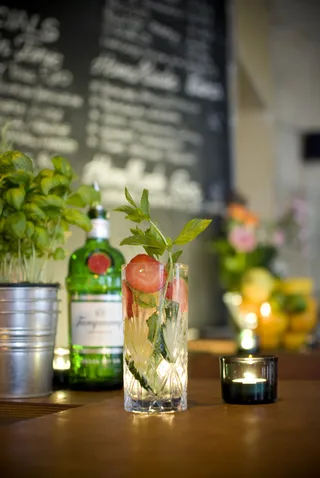 植物,瓶子,瓶装饮料,啤酒,香薰蜡烛,酒吧