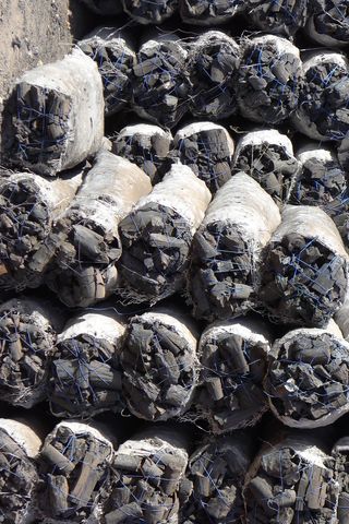 黑木耳,工艺品,石头,木耳,蘑菇/菌类,收集木炭