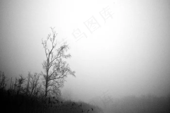 幽灵III