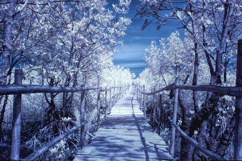 八孔湾竹人行道在红外_针孔效应