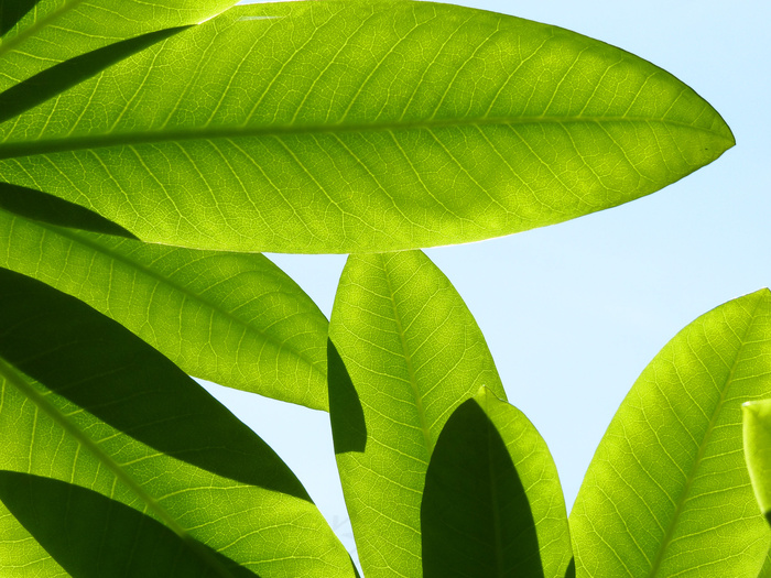 举起你的手向天空