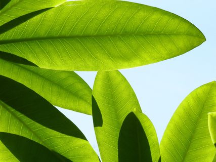 举起你的手向天空