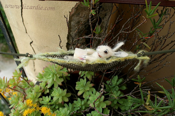 花卉,菊花,苦瓜藤,盆栽植物,白鼬,针刺兔子