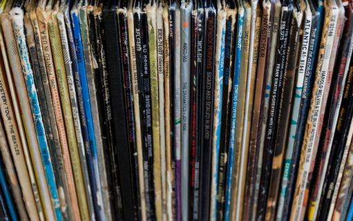 第71天-CY365-安排